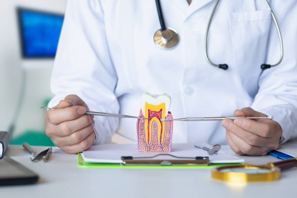 Best Emergency Treatment for Dental Infections or Abscesses in Fairview Ferndale, PA